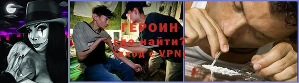 прущие грибы Волоколамск