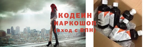 прущие грибы Волоколамск