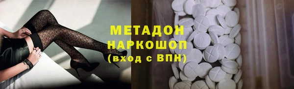 прущие грибы Волоколамск
