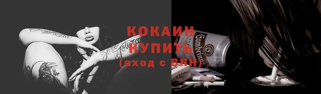 прущие грибы Волоколамск