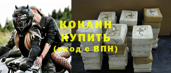 прущие грибы Волоколамск