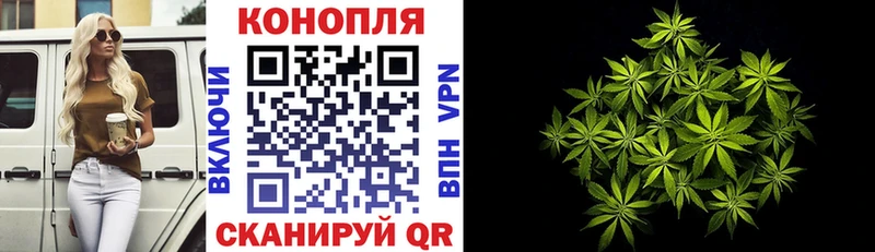 сколько стоит  площадка Telegram  Бошки марихуана конопля  Кемь 